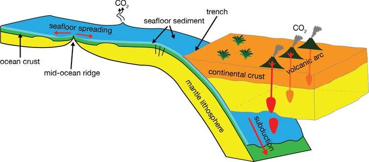 How plate tectonics, mountains and deep-sea sediments have maintained Earth's 'Goldilocks' climate