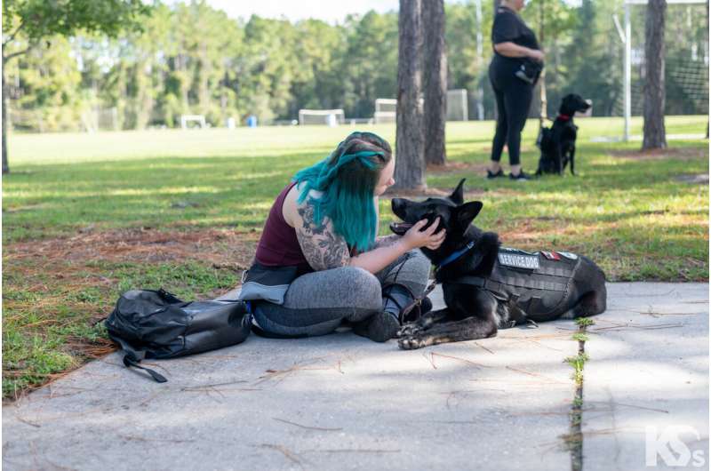 How service dogs reduce PTSD symptoms: factors and mechanisms