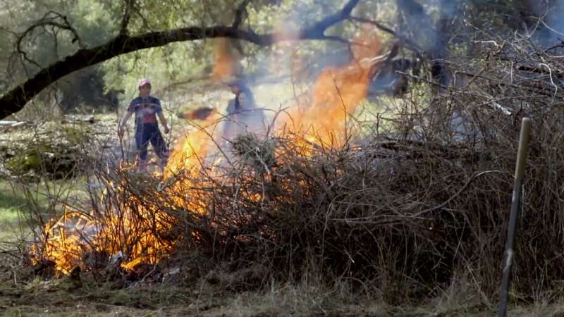 Cómo la práctica indígena del 'buen fuego' puede ayudar a que nuestros bosques prosperen