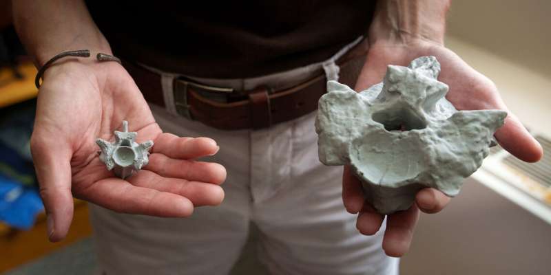 How to 3D print the fossils of the great museums of the world