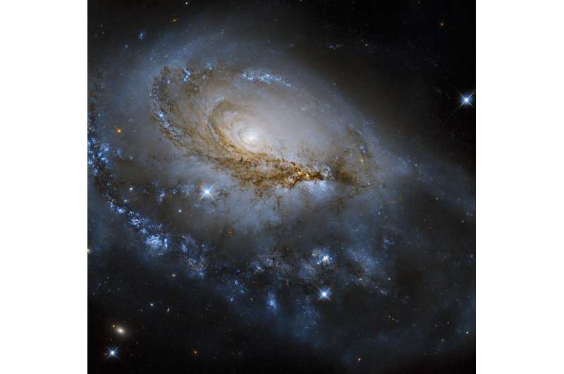 Hubble captures galaxy NGC 1961