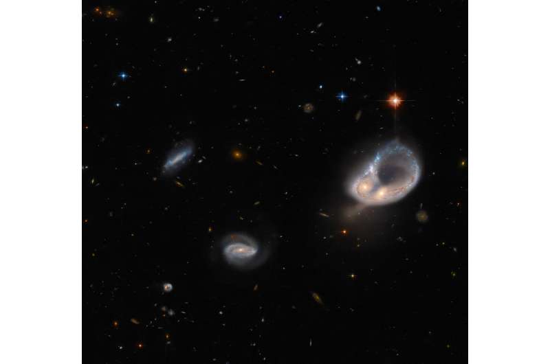 Hubble hunts an unusual galaxy