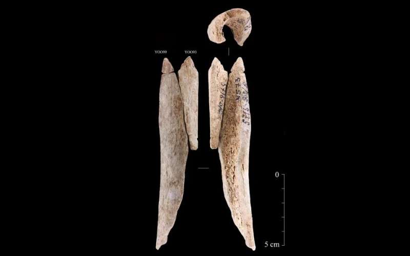 Human bones used for making pendants in the Stone Age
