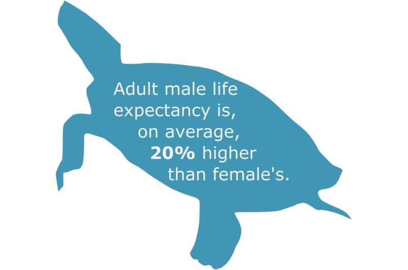 Humans can't, but turtles can: Reduce weakening and deterioration with age