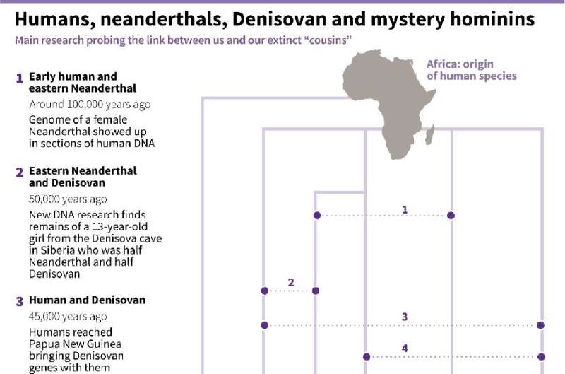 Humans, neanderthals, Denisovan and mystery hominins