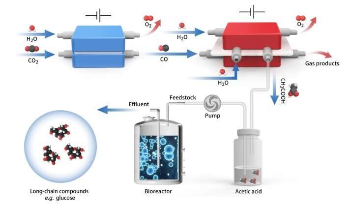 Hybrid electro-biosystem upcycles carbon dioxide into energy-rich long-chain compounds