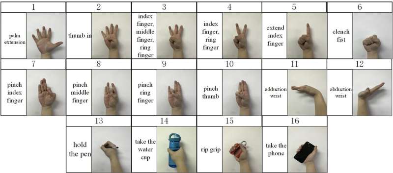 Hybrid machine-learning approach gives a hand to prosthetic-limb gesture accuracy