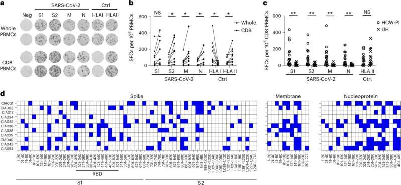 Immune T cell defense is coping with COVID-19 variants of concern for now
