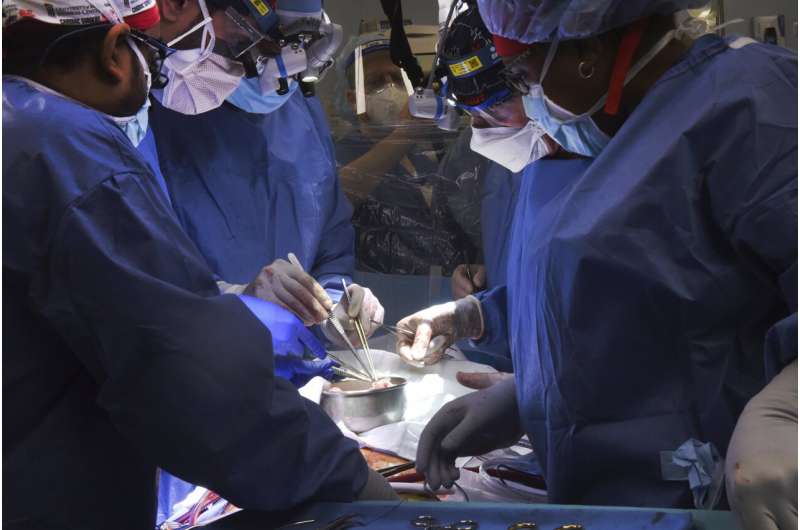 In 1st, US surgeons transplant pig heart into human patient