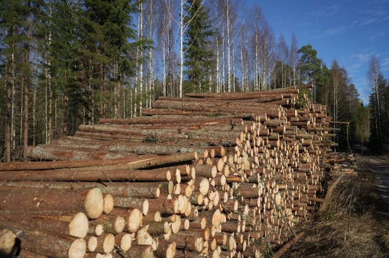 En 2020, el valor de las exportaciones finlandesas de productos de la industria forestal fue de 10 400 millones de euros, lo que representa el 18 % del país.