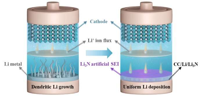 In situ generation of Li3N concentration gradient in 3D carbon-based lithium anodes for highly stable lithium metal batteries