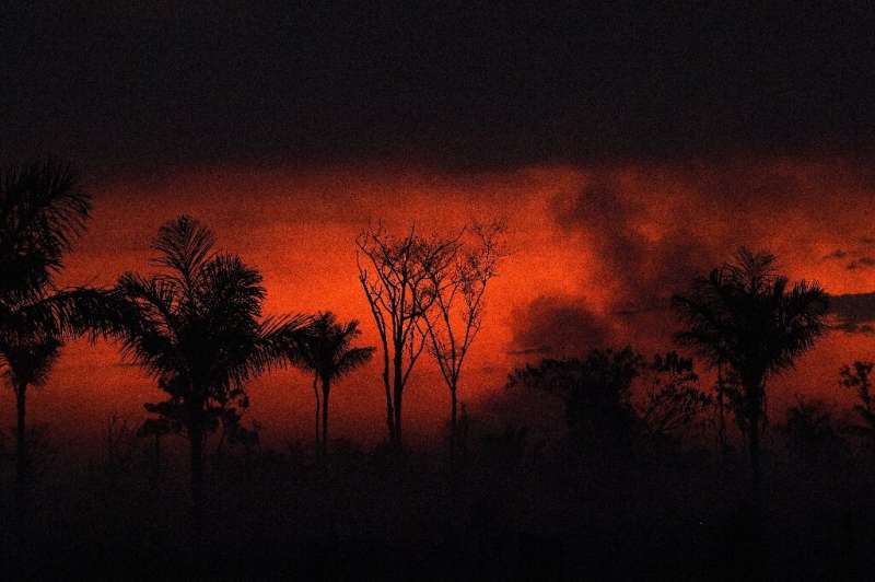 In this file photo taken on August 11, 2020 smoke rises from an illegal fire in Amazon rainforest reserve, north of Sinop in Mat