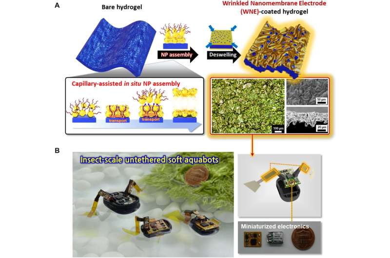 Incorporating nanoparticles into a porous hydrogel to propel an aquabot with minimal voltage