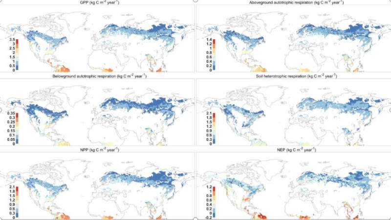 Individual-based model constructed for multiscale forest carbon dynamics prediction