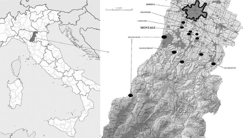 Industrial manufacturing of wool and wool textiles in Bronze Age Italy