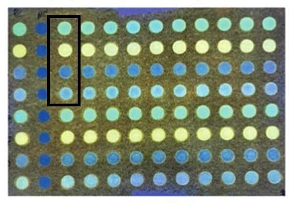 Inexpensive paper sensor accurately IDs pathogenic bacteria