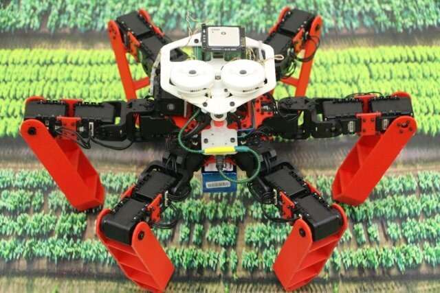 Insect-inspired AI for autonomous robots