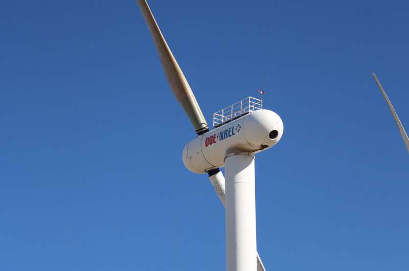 Inspired by palm trees, scientists develop storm-resilient wind turbine