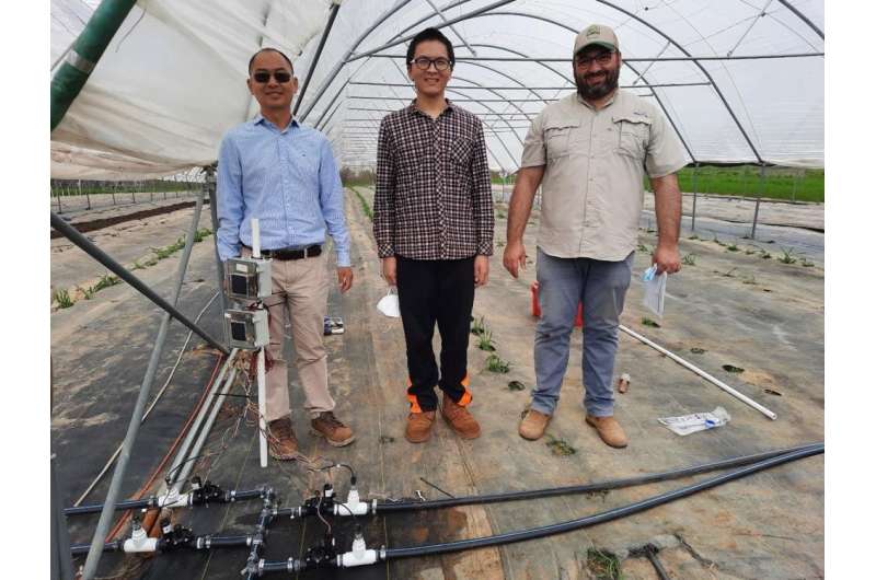 Internet-based precision irrigation system shows promise for fresh-market tomato