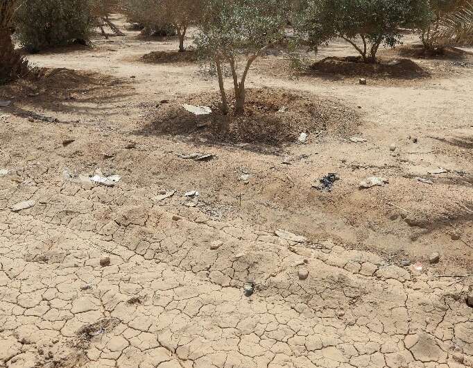 Iraq has long suffered from a host of environmental problems, including drought and desertification, which threaten access to wa