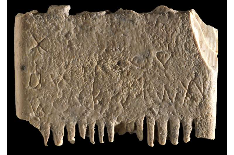 Израильские археологи нашли древний гребень с «полным предложением»
