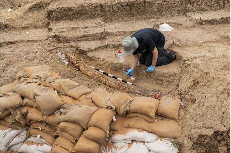 Israeli archaeologists dig up large tusk of ancient elephant