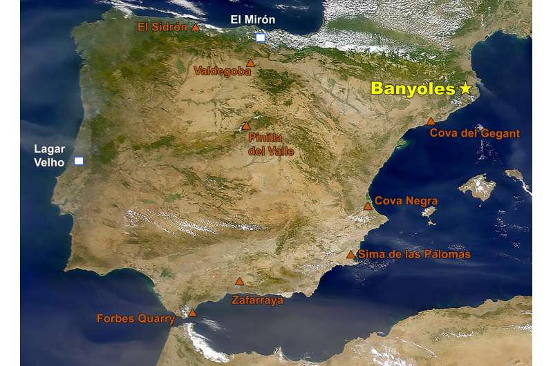 Jawbone may represent earliest presence of humans in Europe