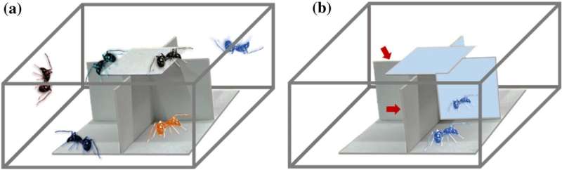Jumping Spiders Reduce Aggressiveness After Perceiving Mirror Cues