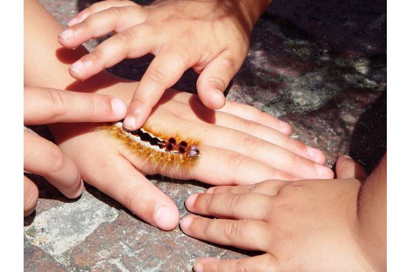 kid caterpillar