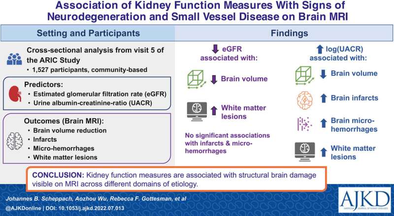 Kidney disease measures are associated with structural brain damage across different domains of etiology