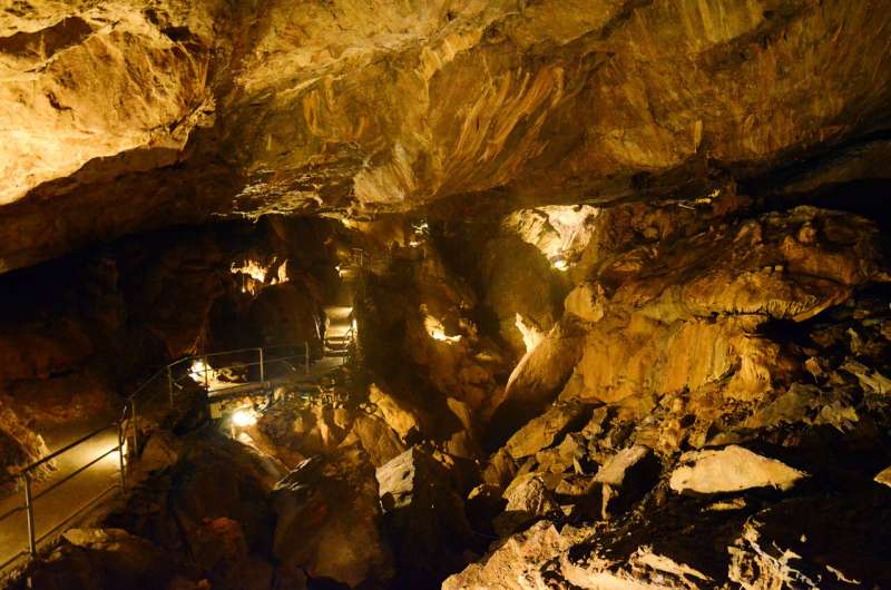 Knowledge is power: How can we make cave tourism more environmentally friendly?