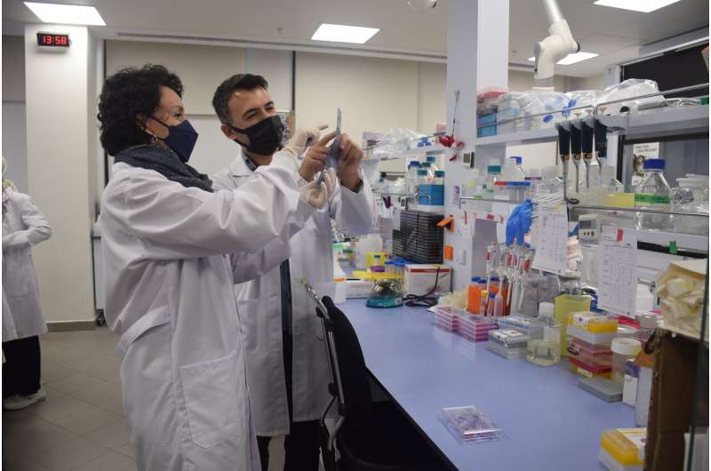 KOÇ University Research Points to New Cancer Treatment