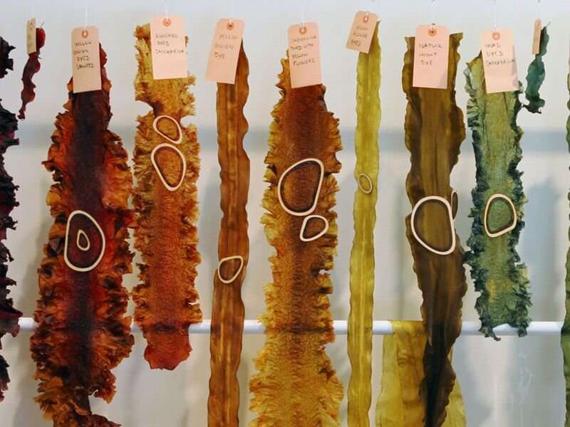 Lab-grown pigments and food by-products: The future of natural textile dyes