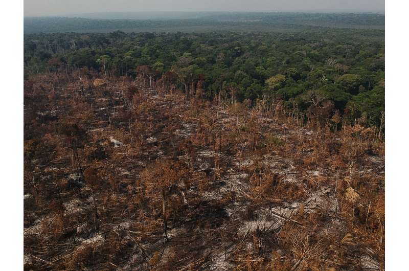 Land tenure drives deforestation rates in Brazil