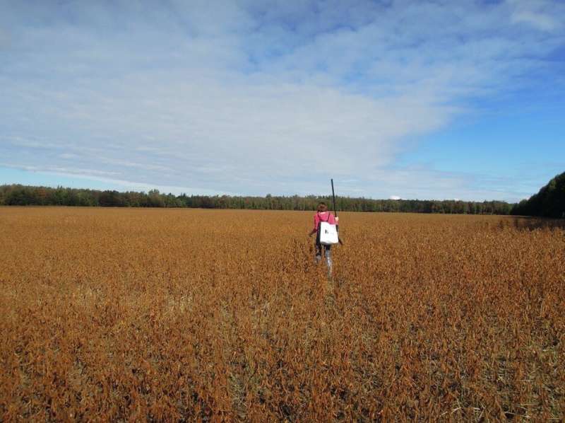 ​​Large-scale study shows declining soybean resistance to stem and root rot