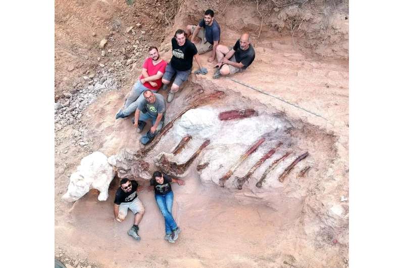 Largest dinosaur skeleton in Europe might have been found in Portugal