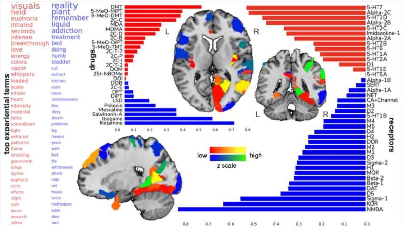 Largest ever psychedelics study maps changes of conscious awareness to neurotransmitter systems