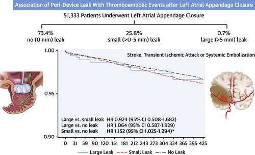 Leaks after left atrial appendage occlusion heighten stroke risk