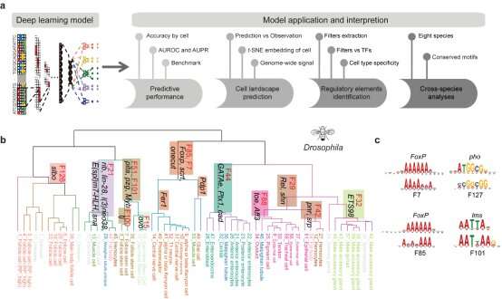 Learning-based strategy to predict gene expression and identify regulatory sequences