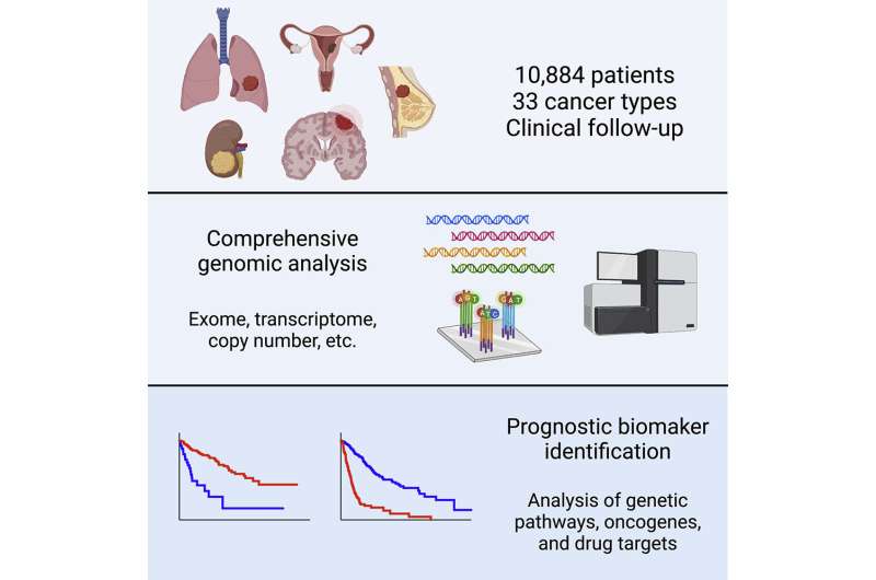 Learning which genetic changes predict greatest risk of cancer death