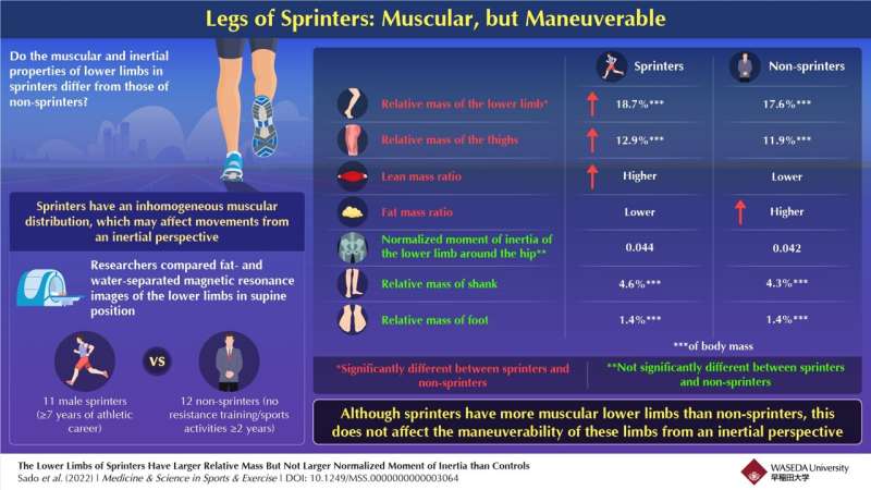 Legs of sprinters: Highly muscular, still maneuverable