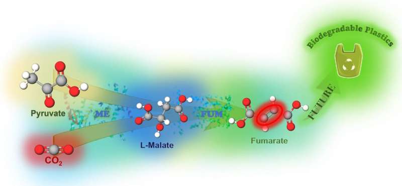 Lessons from natural photosynthesis for conversion of CO2 to raw materials for plastic