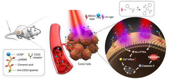 Light-controlled “drug-free” macromolecules for precise tumor therapy