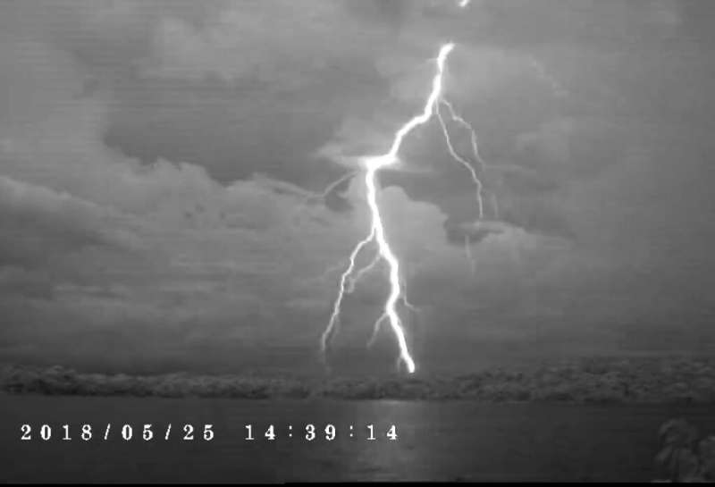 Lightning strikes shape tropical forests