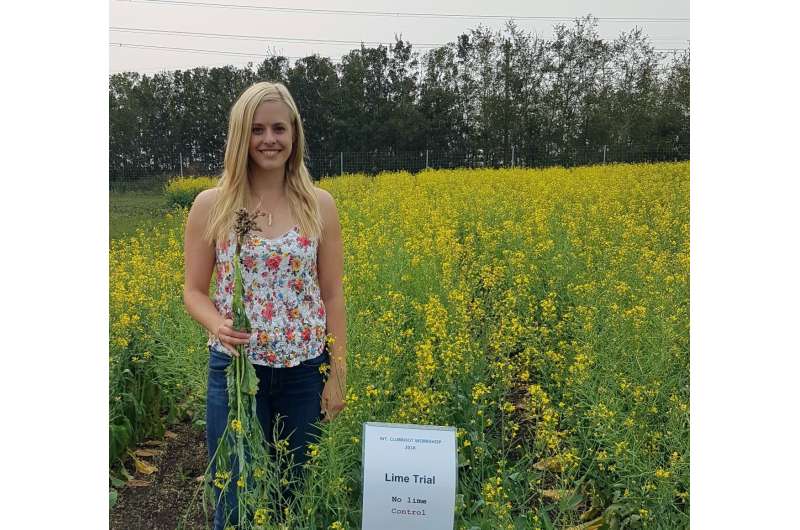 Lime shows promise for controlling clubroot in canola crops