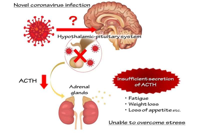 Long COVID Case Study: Recovery process for impaired hormone secretion