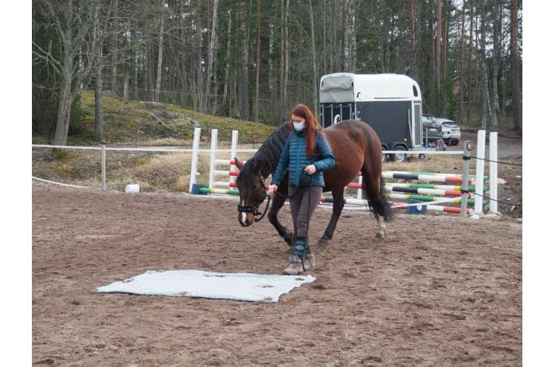 Long-term relationship with owner reduces horses’ stress reactions in new situations