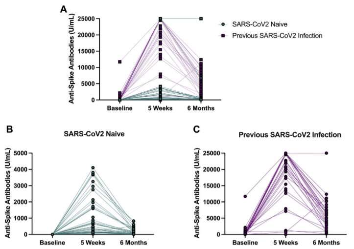 Long-term SARS-CoV-2 vaccine responses in older nursing home residents