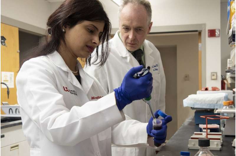 Louisville researchers reveal how oral bacteria suppress protection against viral growth