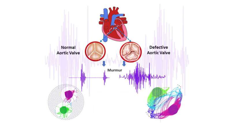 Low-cost disease diagnosis by mapping heart sounds